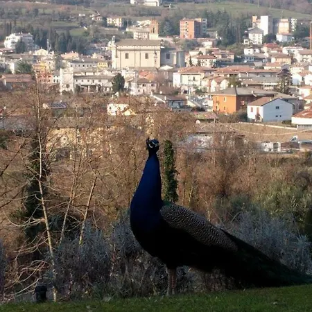 Il Ghiro Caprino Veronese